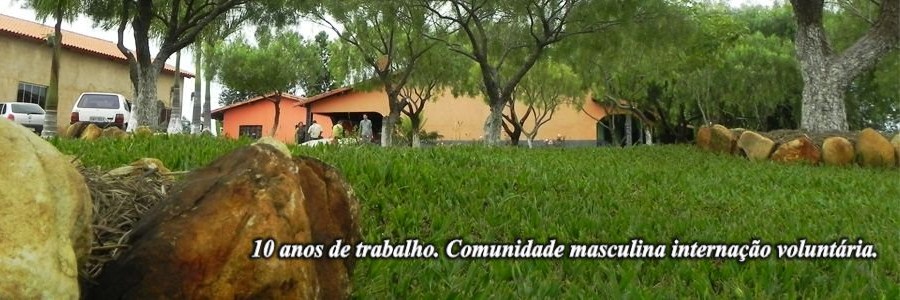 imagem1