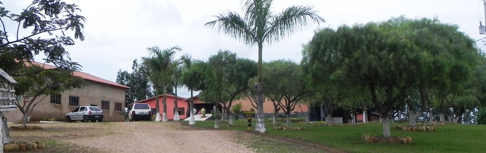 imagem2