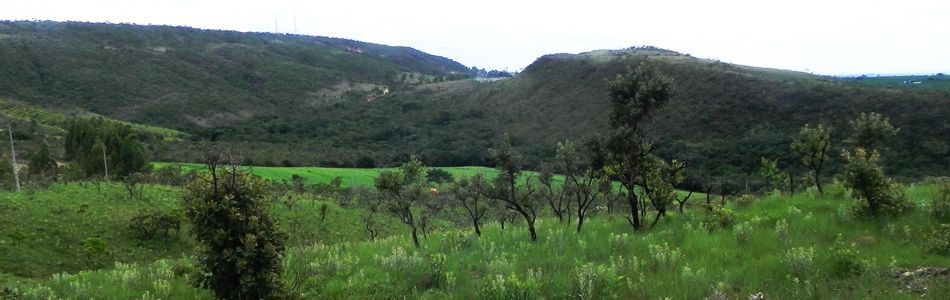 imagem3